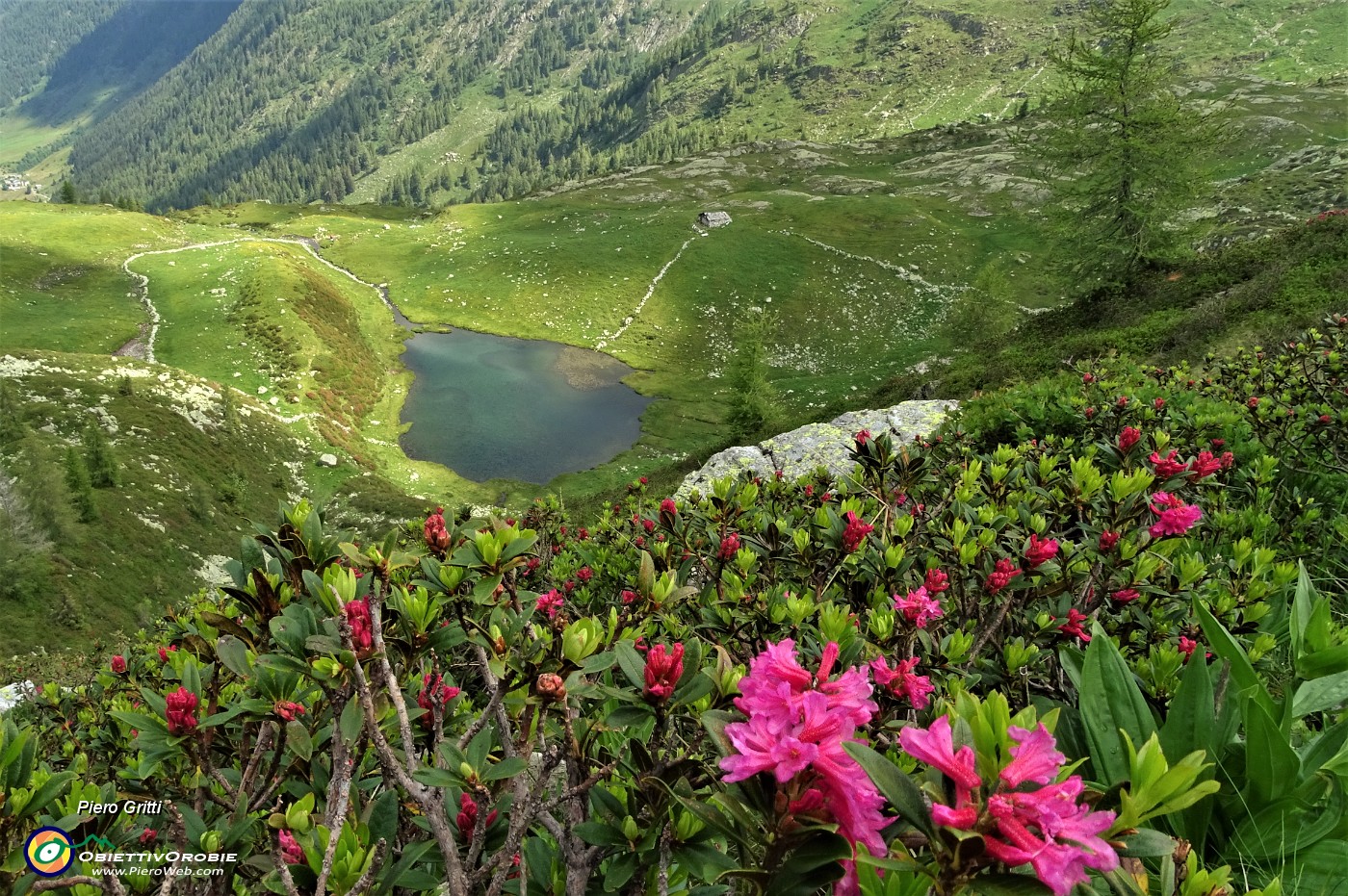 33 Lago piccolo (1986 m) con baita.JPG